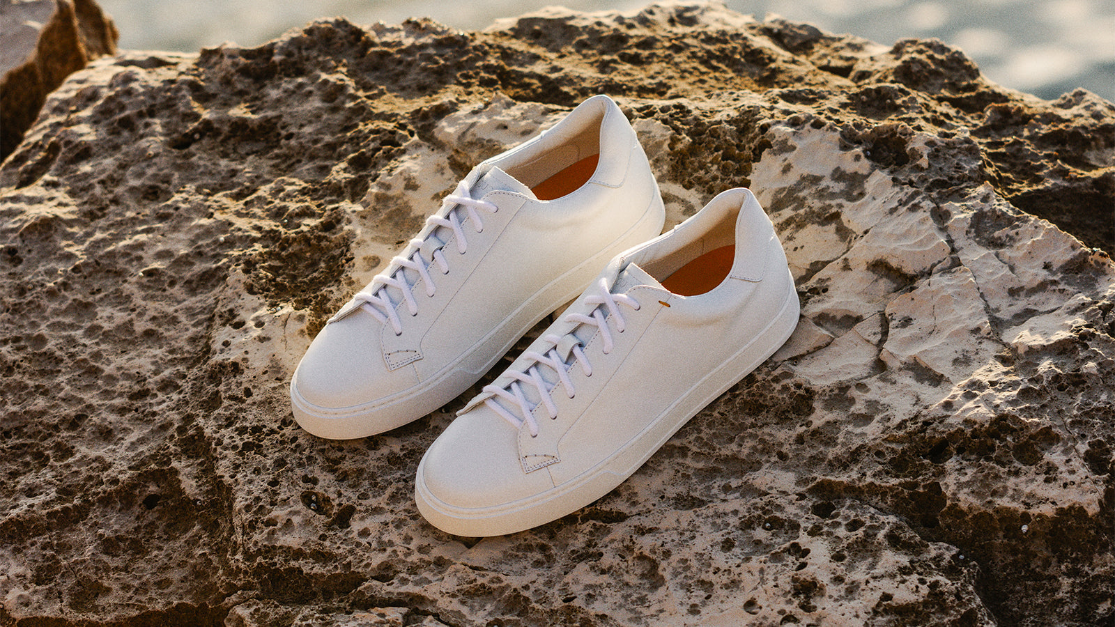 Anna Field Soldes Boutique -Anna Field Soldes Boutique uomo sneakers